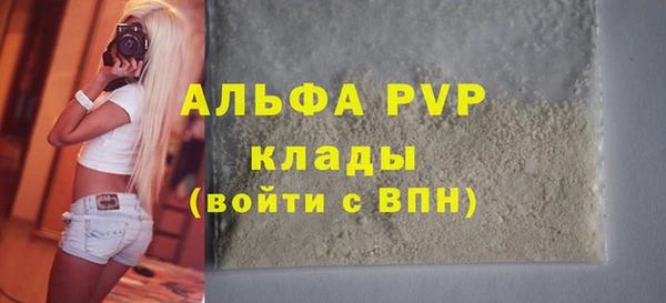 амф Гусев