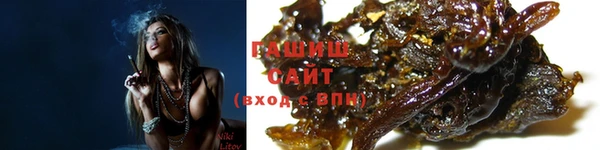амф Гусев