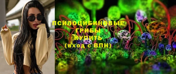 МДПВ Гусь-Хрустальный
