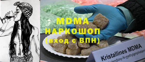 амф Гусев