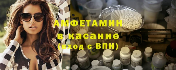 амф Гусев