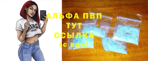 амф Гусев