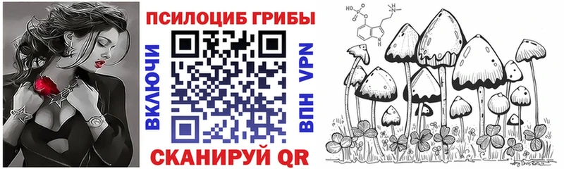 Купить где  Юхнов  Псилоцибиновые грибы Psilocybine cubensis 